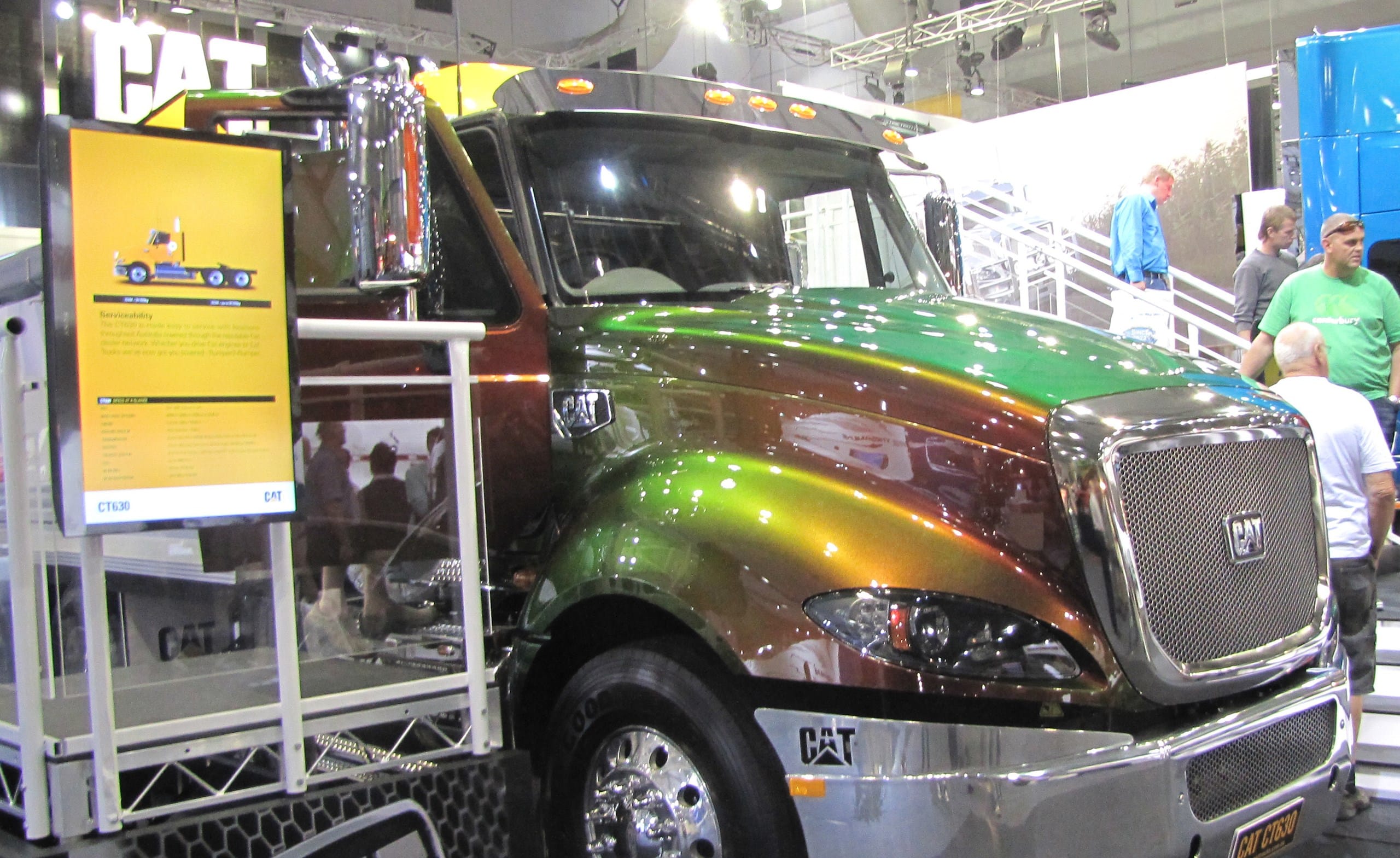 Cat’s display becomes finalist at EEAA Awards | News